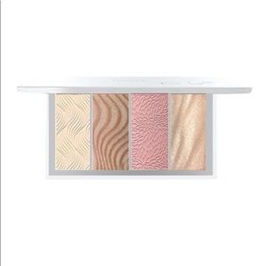 New PÜR 4 in1 Skin Perfecting Powders Face Palette
